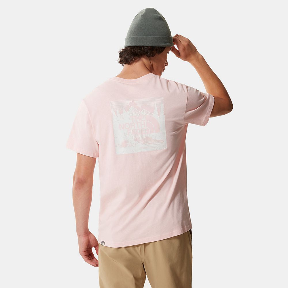 The North Face T-Shirts Mens Australia - The North Face Redbox Celebration Rose Mountain (LJX-081569